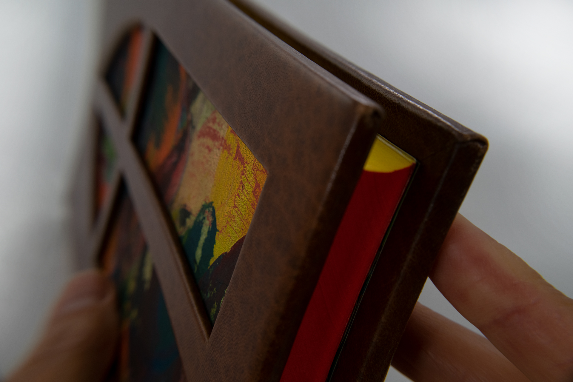 Opiniones de un Payaso