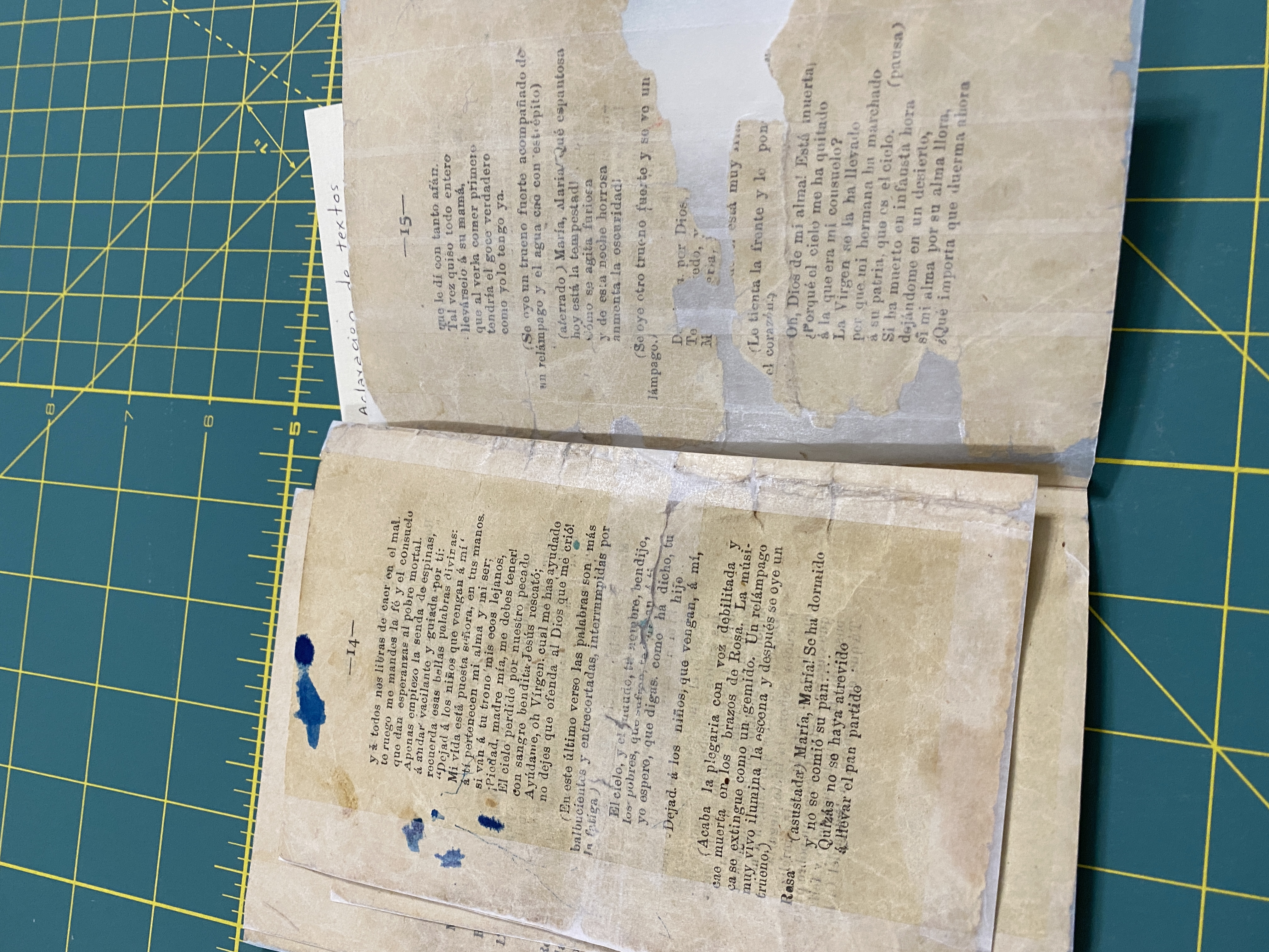 Diálogo “Rosa María”